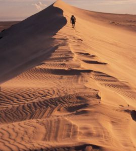 Athabasca Sand Dunes