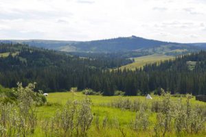 Cypress Hills