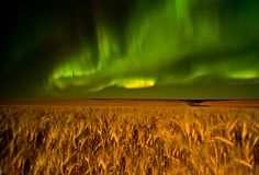 Saskatchewan